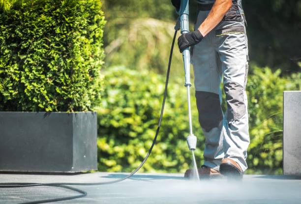 Best Solar Panel Cleaning  in Lake Jackson, TX