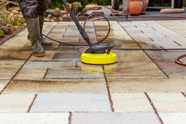 Best Gutter Cleaning  in Lake Jackson, TX