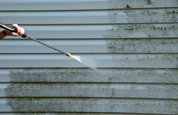 Best Fence Cleaning  in Lake Jackson, TX