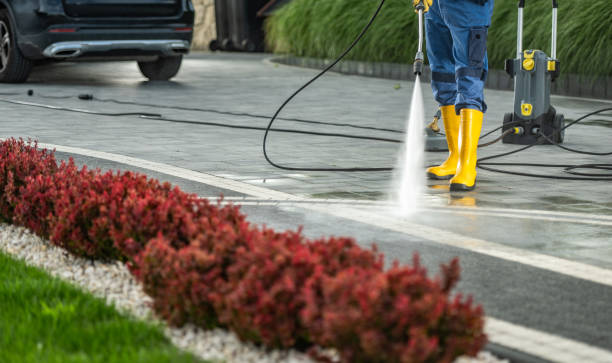 Best Dumpster Area Cleaning  in Lake Jackson, TX