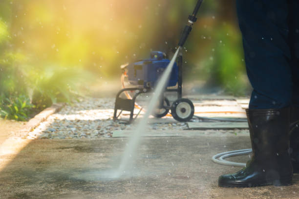 Best Animal Enclosure Cleaning  in Lake Jackson, TX